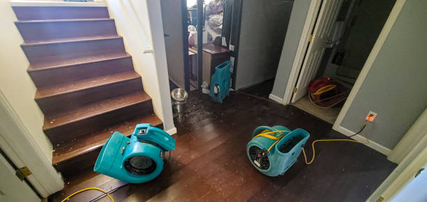 Best Water damage restoration near me  in Chesilhurst, NJ