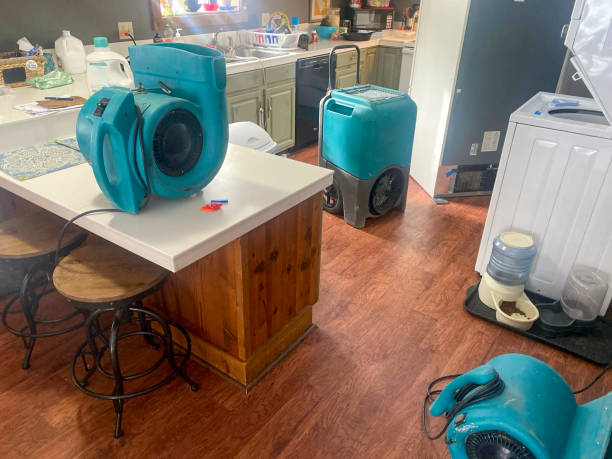 Best Commercial water damage restoration  in Chesilhurst, NJ