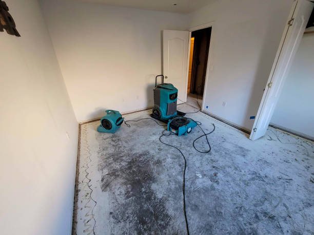 Best Carpet water damage restoration  in Chesilhurst, NJ